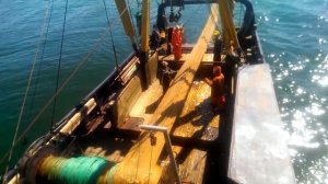 Вылов кильки  салаки в Балтийском море МРТК типа "Балтика" 2016