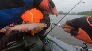 ТАЙМЕНЬ РАЗОГНУЛ КРЮЧКИ. Сплав по новой реке с девушкой. Ловля ленка и тайменя на воблеры.