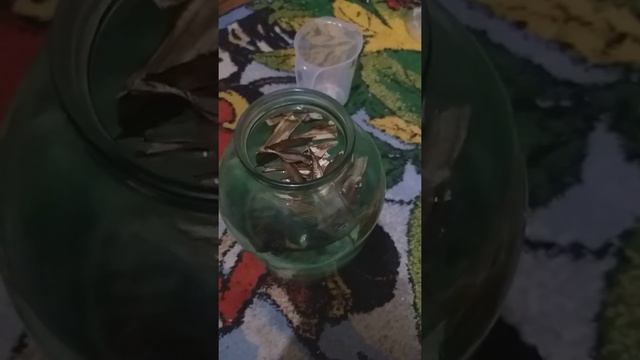 как легко и просто получить инфузорию смотреть онлайн