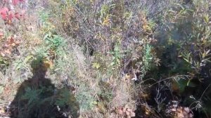 Рыбалка на Олхе. 3 часть.