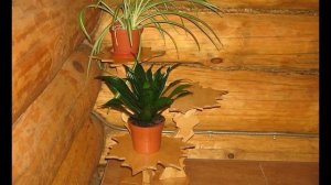 Красота цветочная!! Полки для цветов!