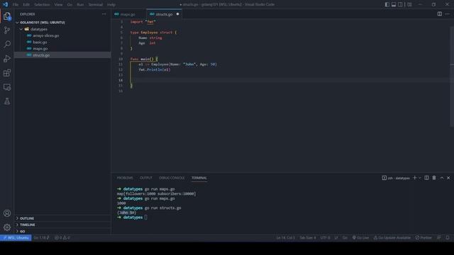 Go Composite Types (Map, Struct) , Print Struct Variants | Golang 101 Tutorial