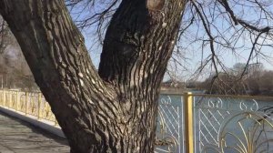 ТИРАСПОЛЬ, ПРИДНЕСТРОВЬЕ. ПРОГУЛКА ПО ГОРОДУ. ЧАСТЬ 3.