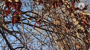 Кристина Мотиватор.Мотиватор она не вы,терпеть не будет,она от всех убежит.Так и бегает всю жизнь