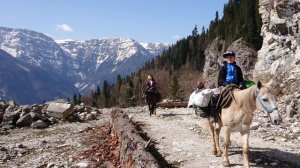 конный поход на майские праздники