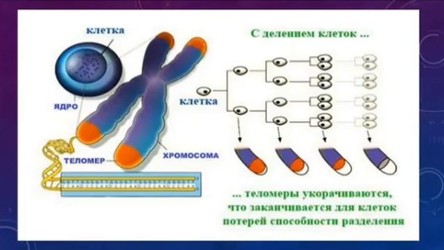 ВНИМАНИЕ! НОВИНКА! M INERNATIONAL ЭЛИКСИР МОЛОДОСТИ И КРАСОТЫ MI MAX