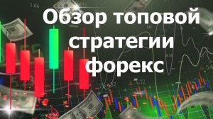 Обзор топовой стратегии форекс от подписчика