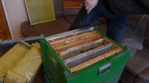Технология и годовой цикл содержания пчелосемей в одном гнездовом корпусе. Система 300 + 145 рамка