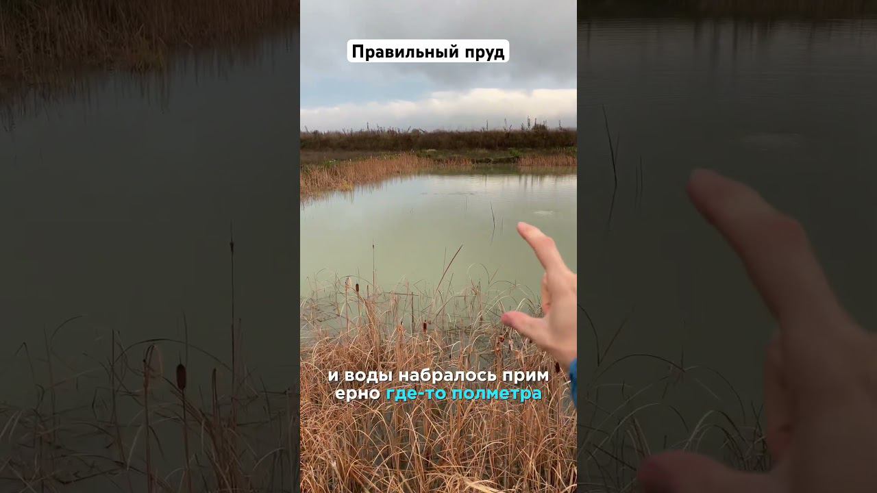 Аэрация и подлив пруда. Эксперимент по наполнению прудов из скважины