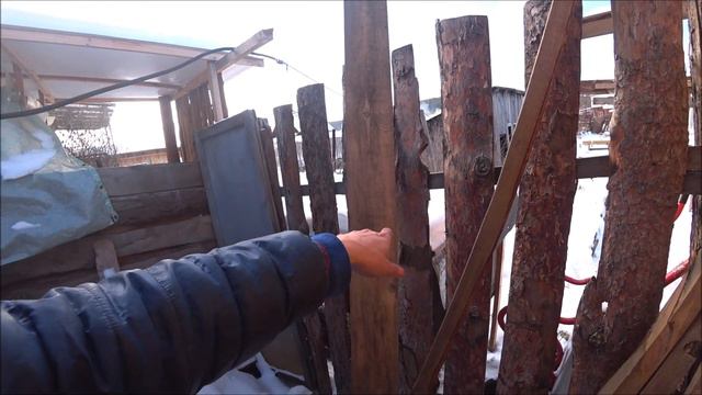 100 подписчиков. Шед готов. Большие перемены в хозяйстве смотреть онлайн