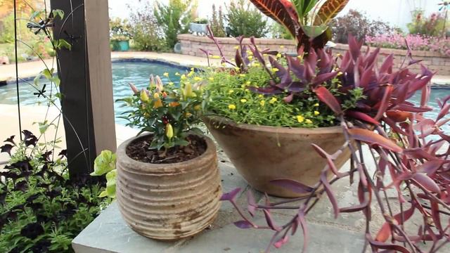 Creative and Unique Fall Flower Pot Ideas to Elevate Your Decor 🌼🍂 смотреть онлайн