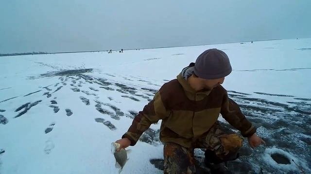 Хорошо порыбачили-Веселовское водохранилище-Дальний 04.01.2016 Ростовская область
