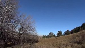 Охота на вальдшнепа в Крыму.