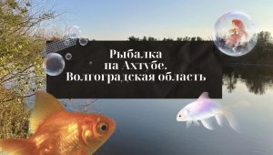 Фидерная рыбалка на реке Ахтуба. Волгоградская область