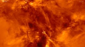 IllustrisTNG 50 - Formation of a small galaxy cluster
