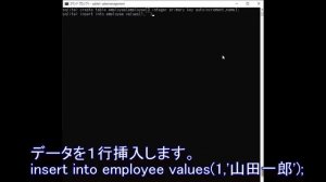 【SQLite】第五回　主キー（PRIMARY KEY＝プライマリーキー）、AUTOINCREMENT（オートインクリメント）、データ型の設定★