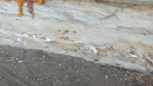Ремонт бани. Часть1.