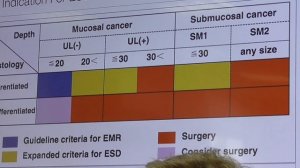 02 Michael Hafner Esophageal Cancer Endoscopic Diagnosis and Treatment Standarts