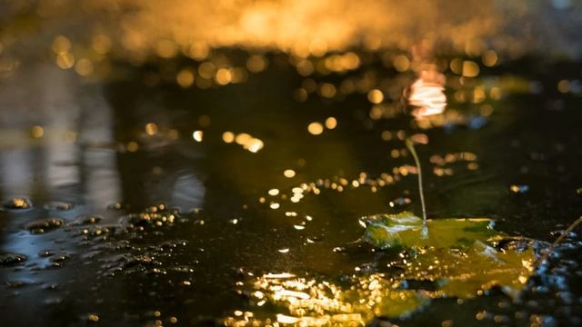 Осень стихи от Насти - читает Настя смотреть онлайн