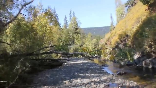Extreme travel, alone in the Russian taiga, 55 km of wild area смотреть онлайн