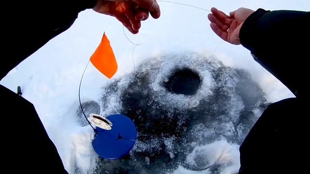 Как ставить жерлицы на щуку, как оснастить жерлицы.