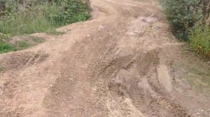 Subaru Forester против Ford Kuga по бездорожью.