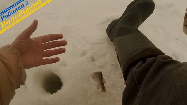 Оновлені правила зимової риболовлі в Україні! Нові правила для зимової рибалки! Нові правила рибалк