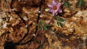 Мысли молодых о монашестве. Письмо 2. Орский Иверский женский монастырь. 2020