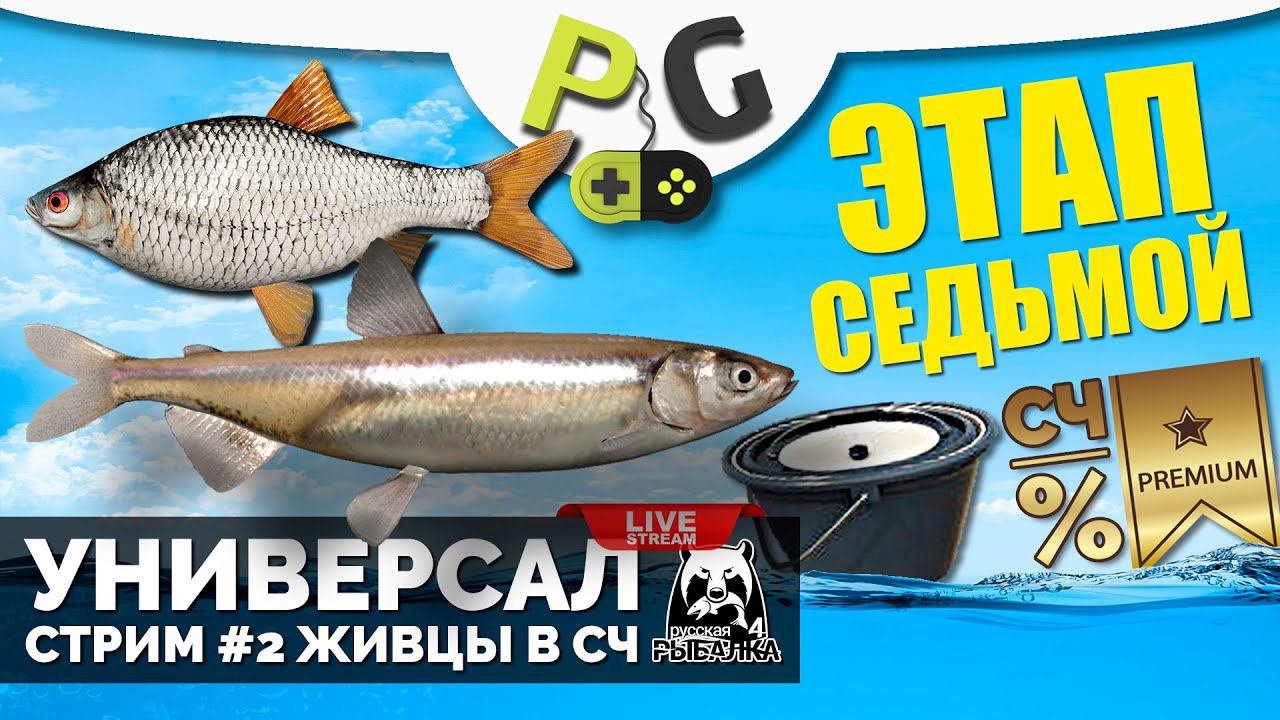 Русская Рыбалка 4 - Стрим Прокачка УНИВЕРСАЛА для 7-го этапа Стрим #2 Качаем наживку живцами смотреть онлайн