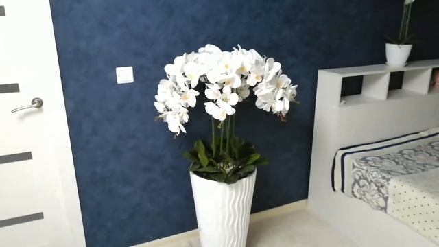 Как сделать дом уютным, МОИ ПЕРВЫЕ ОРХИДЕИ В НОВОМ ДОМЕ, ПЕРЕЕЗД СИБИРЯКОВ НА ЮГ, ЖИЗНЬ У ДВУХ МОРЕ