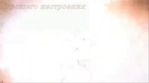 Коты поют под музыку группы ZODIAC