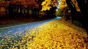 Алмас Багратиони - Осень. Автор ролика - Шатоба Владимир .mp4