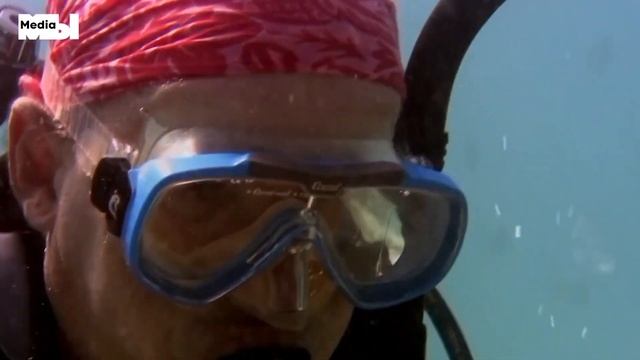 Глобальное потепление: каким будет конец света смотреть онлайн