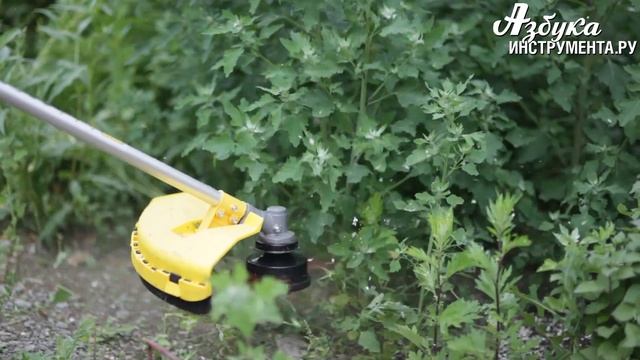 Триммер бензиновый CHAMPION - T333-2 смотреть онлайн