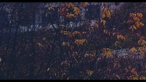 К Паустовский  Рассказ Телеграмма  Фрагмент 1 из 4 #одетяхиродителях#проза20века