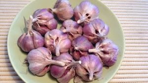 Как засолить чеснок