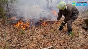 Администрация Южного управленческого округа