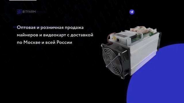 Анимация на Тильде смотреть онлайн