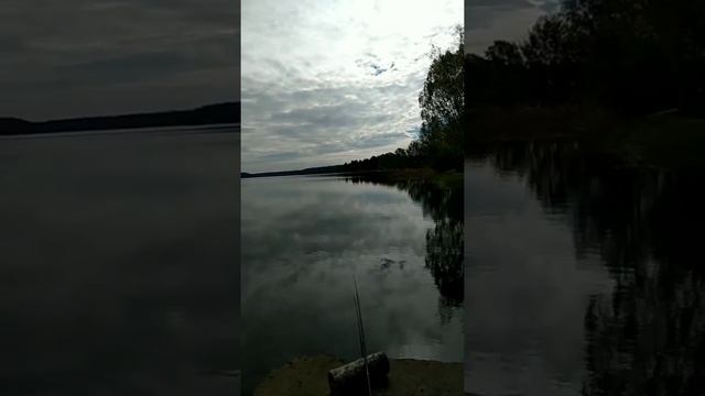 Рыбалка на Верхнем пруду. Ловля на Фидер, Поплавок и Экраны. смотреть онлайн