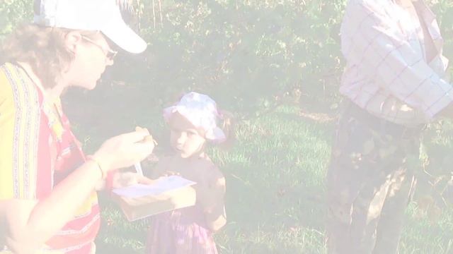 ВИНОГРАД 2015 - наша поездка в виноградный питомник (500 сортов garden grapes) смотреть онлайн