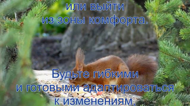 Как  приходит удача? | 5 способов привлечь удачу
