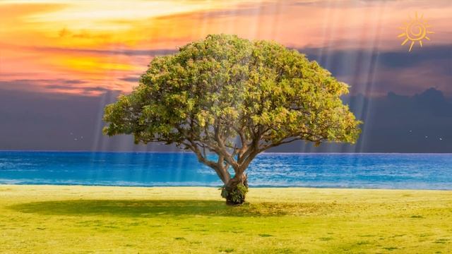 Волшебные звуки живой природы и успокаювающей скрипки смотреть онлайн