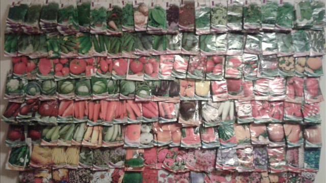 Дім сад город смотреть онлайн