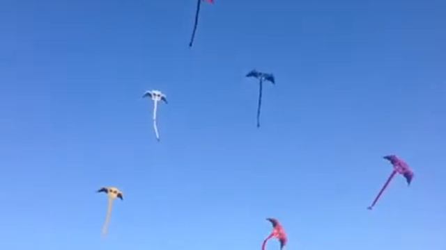 Дубайский международный Кайт фестеваль 2015. смотреть онлайн