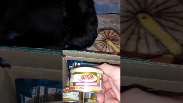 Корм Purina Gourmet Gold Посылка,кот заглядывает смотреть онлайн