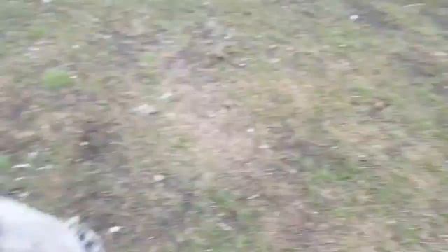 #басик МОМО школа выйдет вторая часть смотреть онлайн