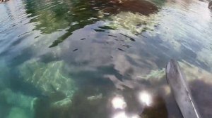 БУХТА ЕЖОВАЯ.