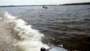 Марлин 360, Гладиатор 9,8 Пробник