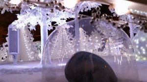 Новогодние парки Москвы 2021 / Сказочная красота в парке Сокольники / Новогодний Парк Зарядье