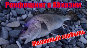 Рокфишинг в Абхазии. Желанный горбыль